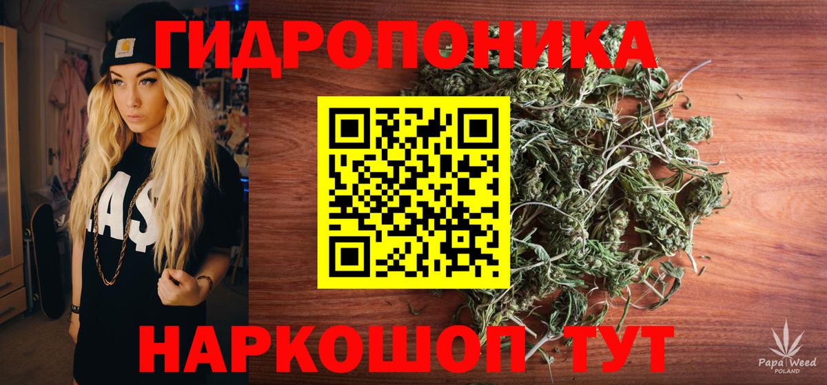 Канабис марихуана Губаха